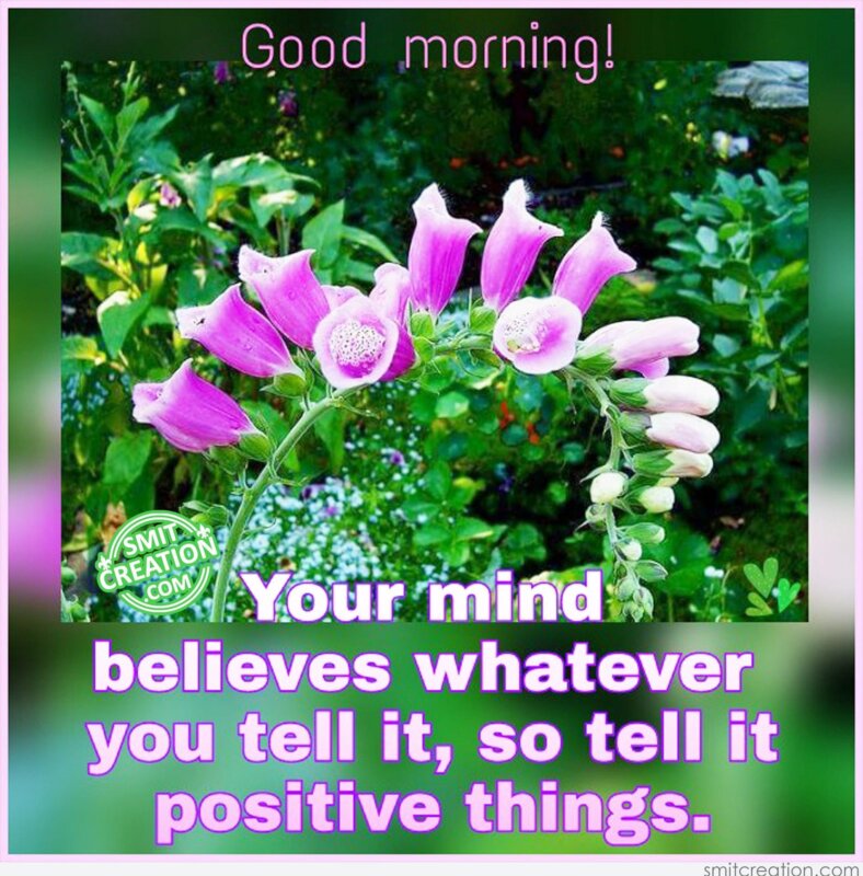 Good Morning Flowers Images With Quote - SmitCreation.com