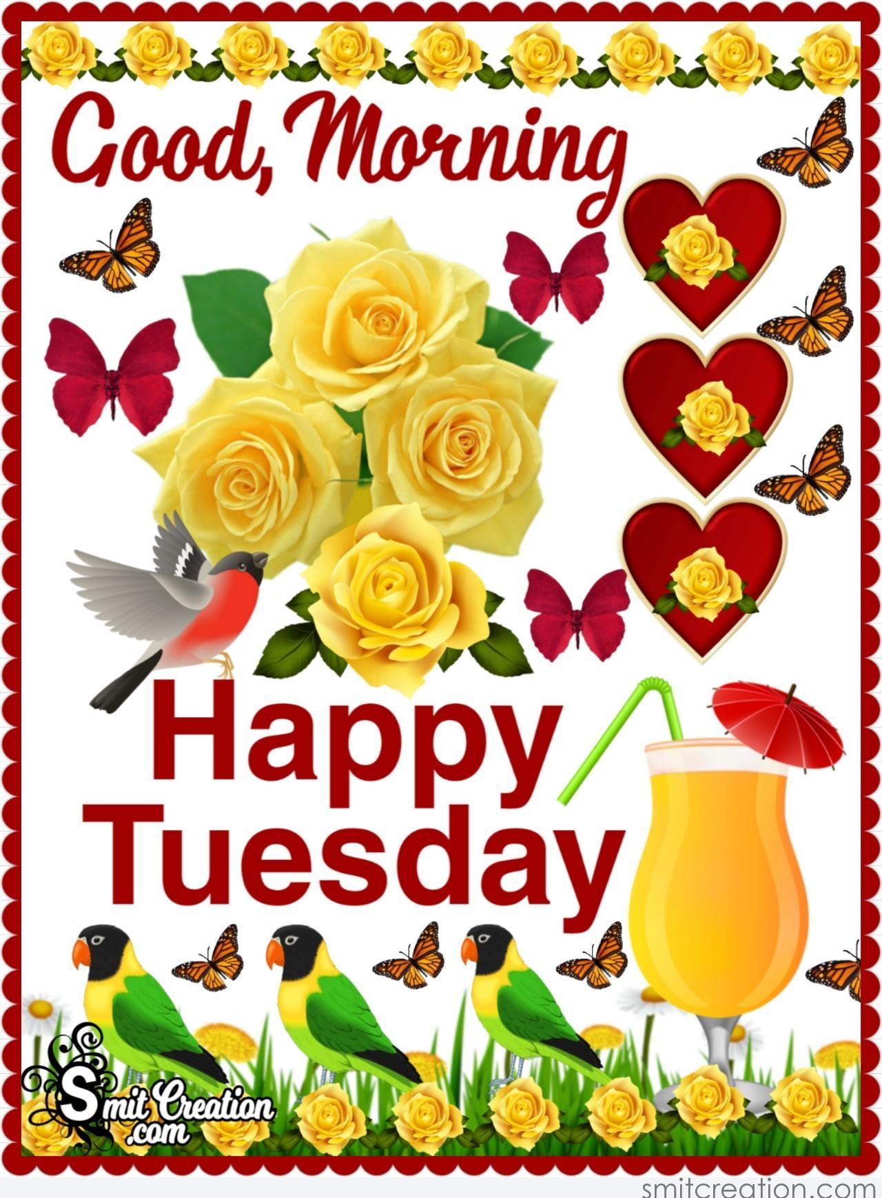 Good Morning Happy Tuesday - SmitCreation.com