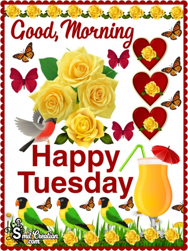 Happy Tuesday Good Morning Blue Bird - SmitCreation.com