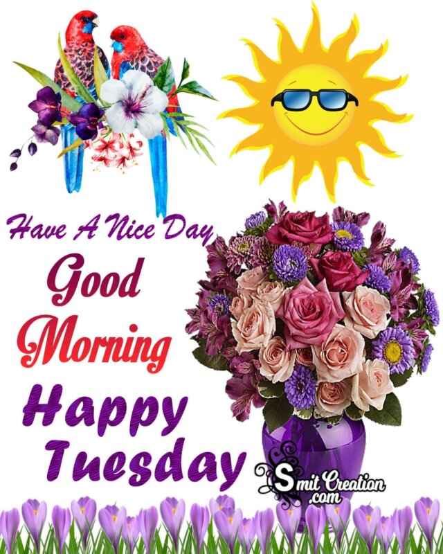 Happy Tuesday Good Morning Have A Nice Day - SmitCreation.com