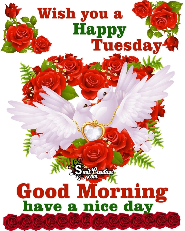 Happy Tuesday Good Morning Blue Bird - SmitCreation.com