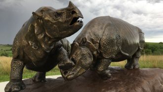 two bronze statues of rhinos