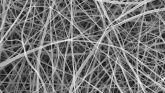 Pasta nanofibers look like a mesh of thin gray fibers.