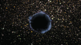 A black hole surrounded by stars