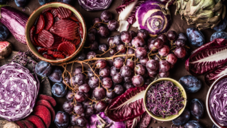 an array of "purple" foods spread out on a table: purple cabbage, grapes, raddichio, and beets are the most easily recognized foods