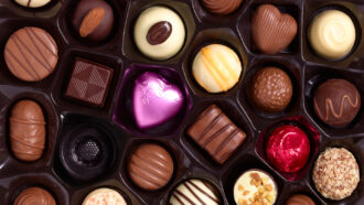 a box of fancy chocolates