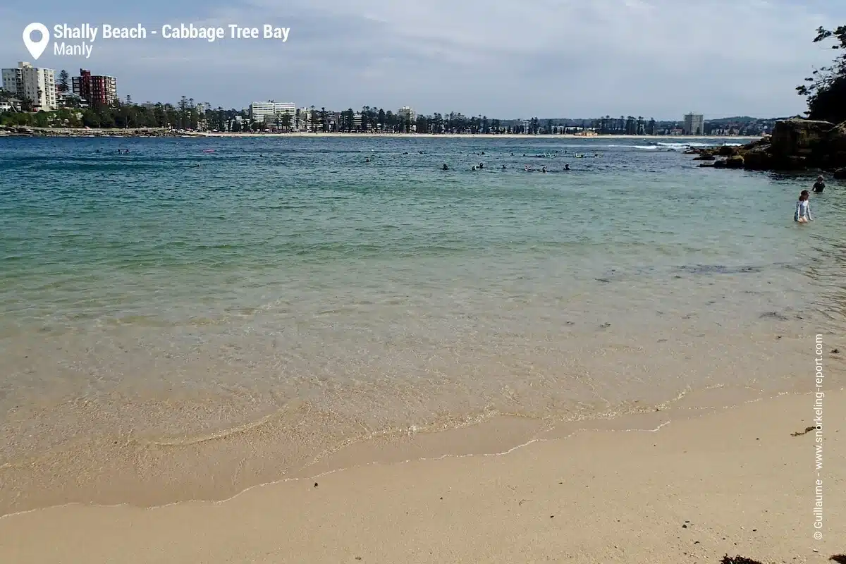 Shelly Beach, Manly