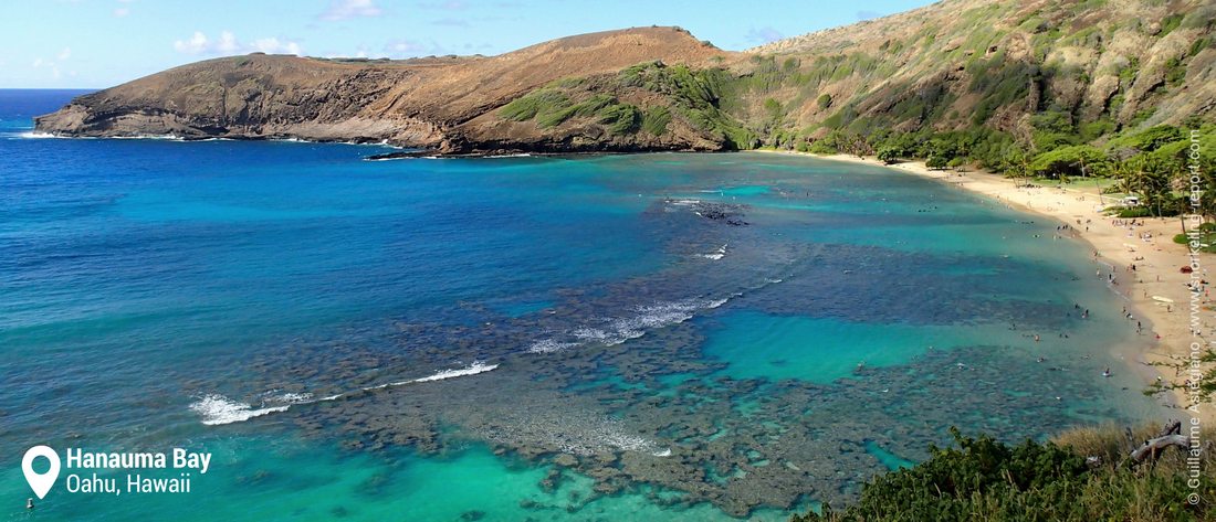 Snorkeling at Hanauma Bay, Oahu