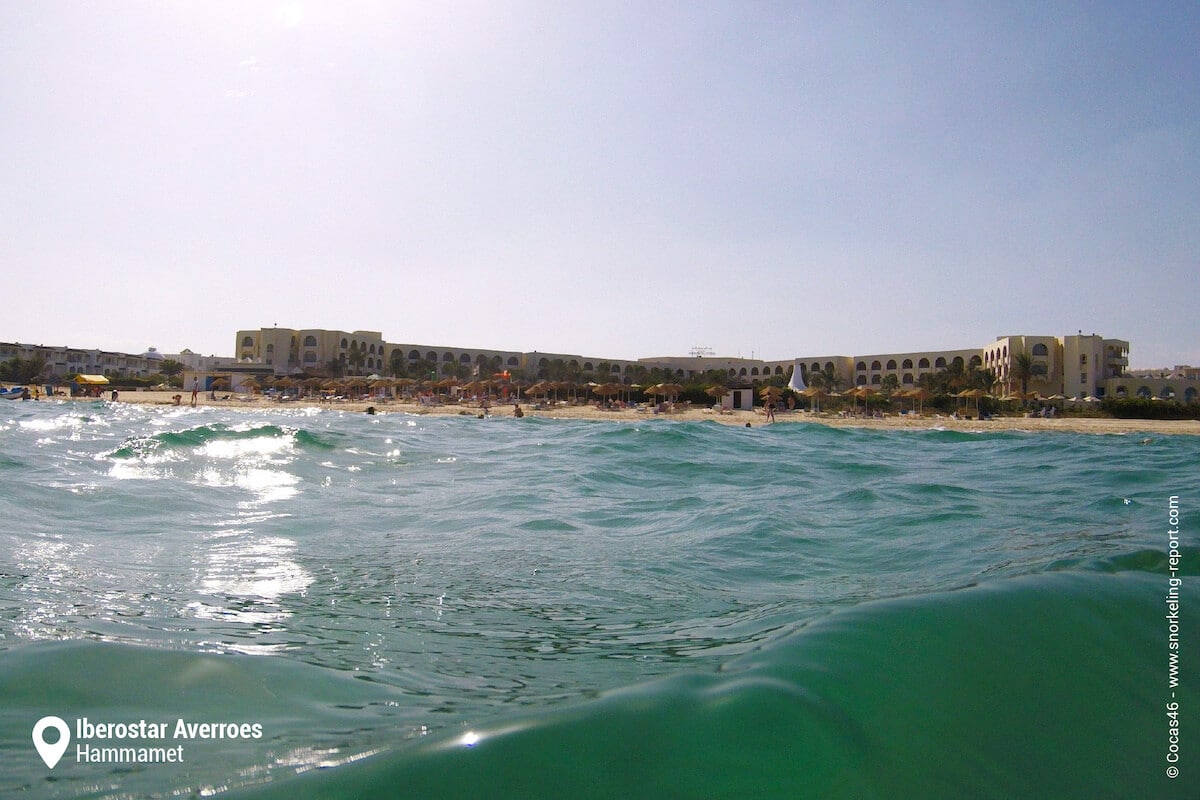 Iberostar hotel seen from the snorkeling area