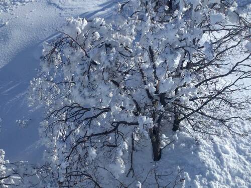 Mount Hermon Ski Resort by: ROEE DANA