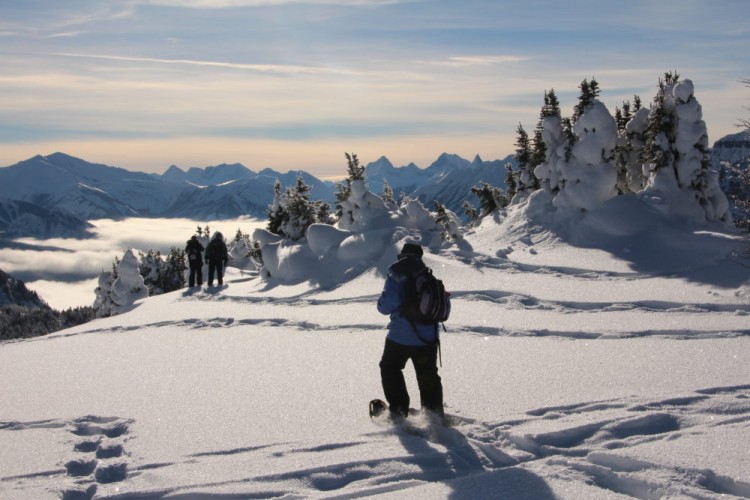 person snowshoeing in powder at Sunshine Village, Banff