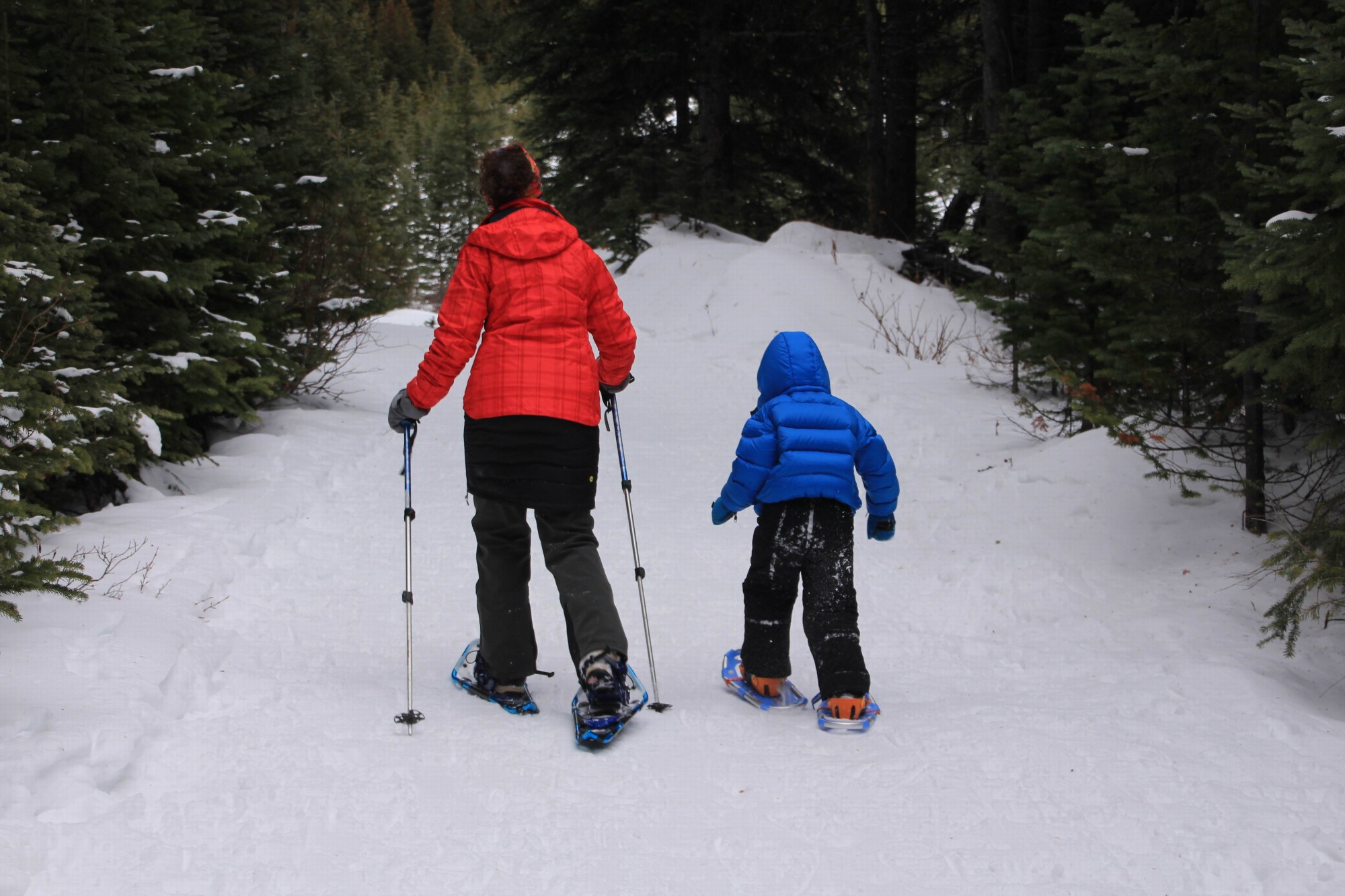 adult and child walking on well maintained trail surrounded by tree