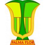 Atlético Palmaflor