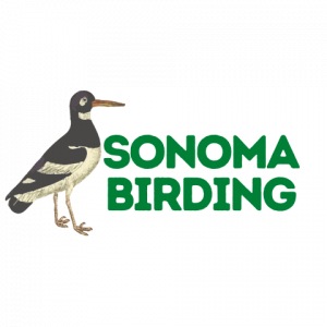 Sonoma Birding Logo