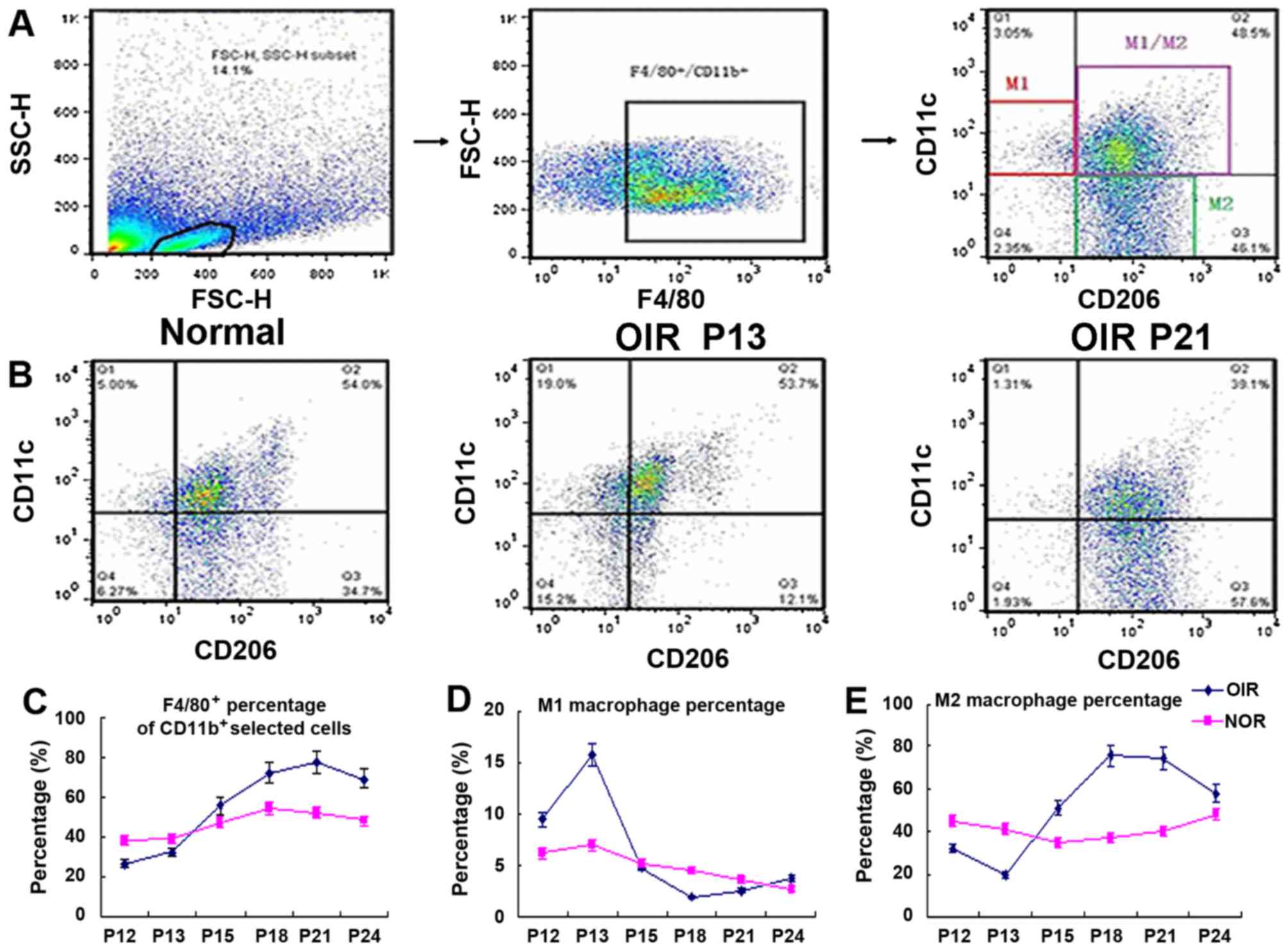 M2 Macrophage Flow Cytometry Panel - vrogue.co