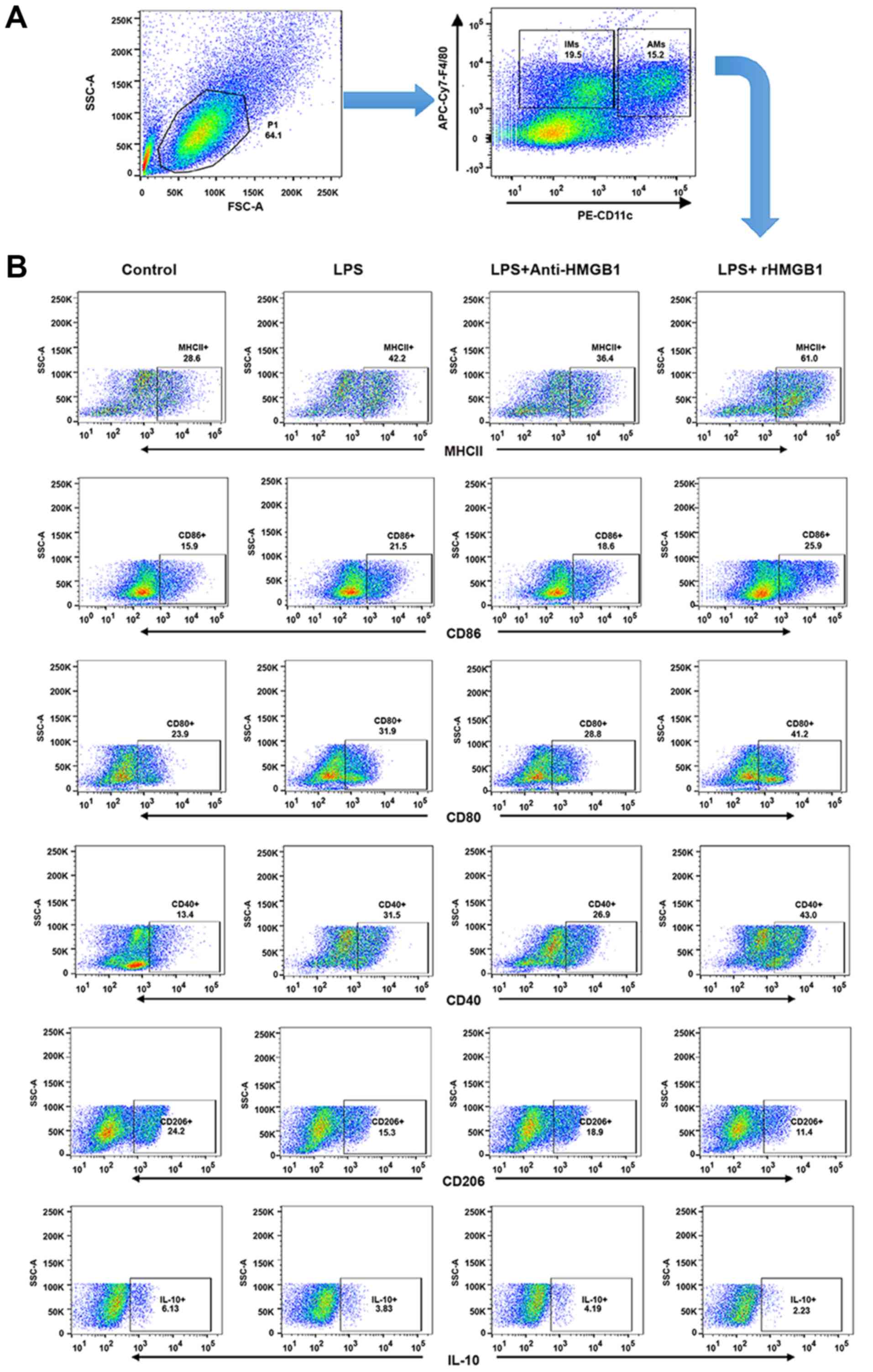 M2 Macrophage Flow Cytometry Panel - vrogue.co