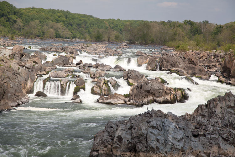 The Wonders of the Potomac River