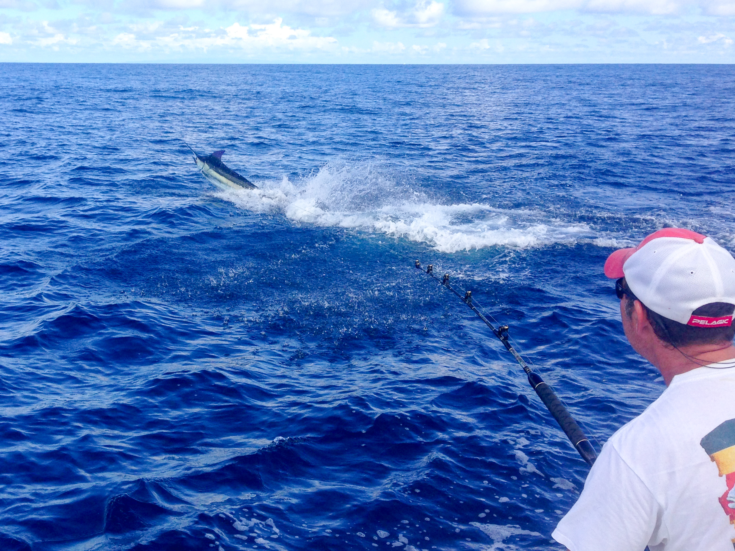 best blue marlin fishing