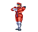 M. Bison