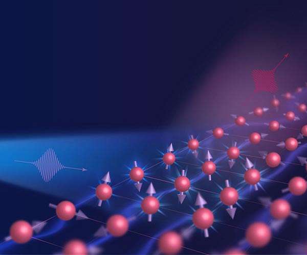 Spin keeps electrons in line in iron-based superconductor