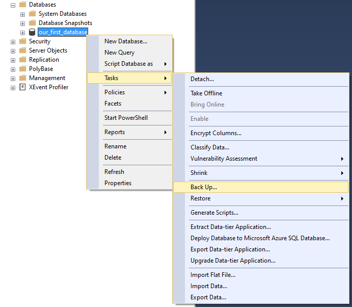 SQL Server backup