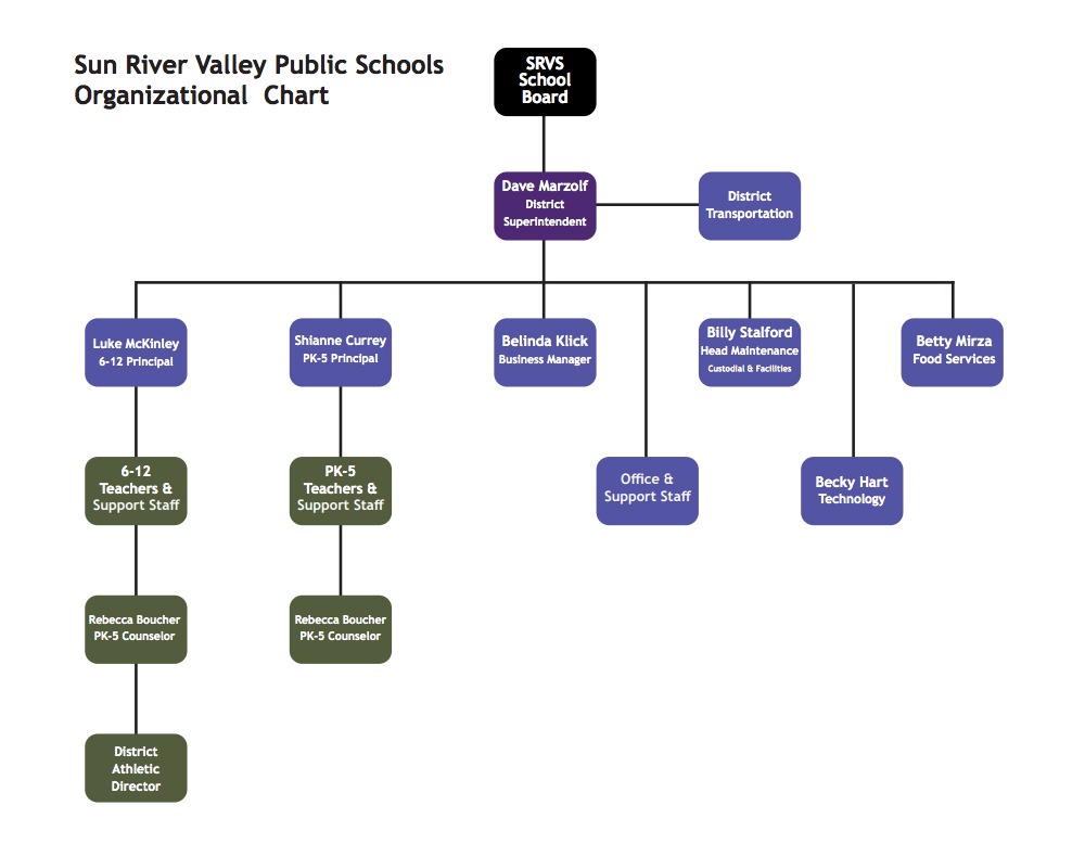 Texas DSHS Organizational Chart