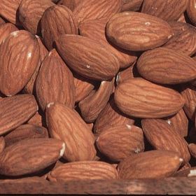 Photo of All-In-One Almond Tree