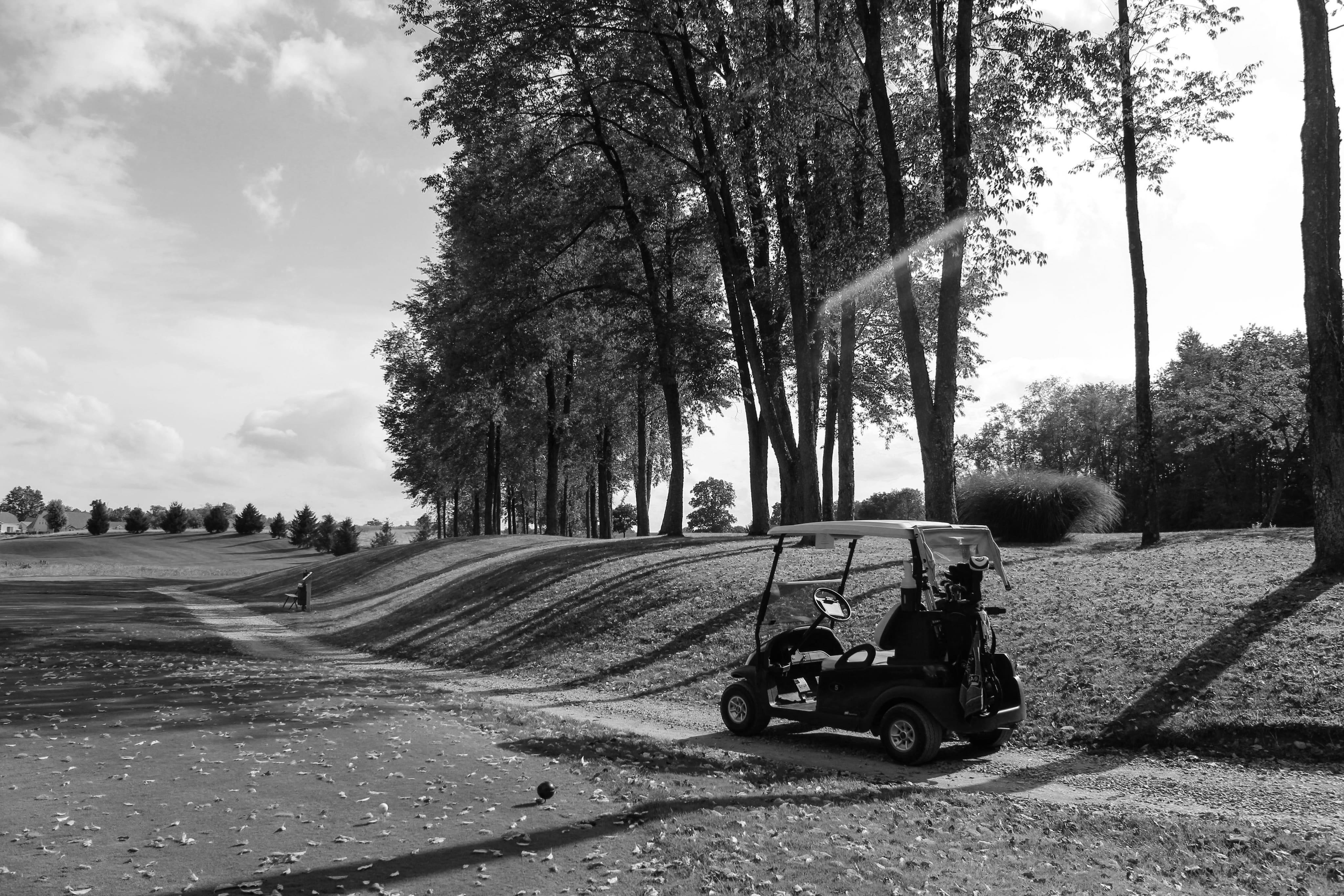 Golf Cart On Course 25