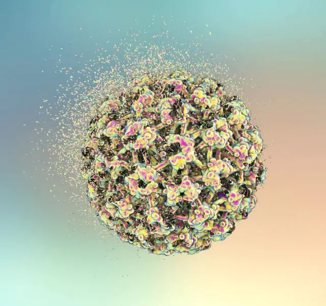 Destruction of Human Papillomavirus (HPV), 3D illustration. Concept for Papillomavirus treatment and prevention. HPV is a virus which causes warts and cervical cancer