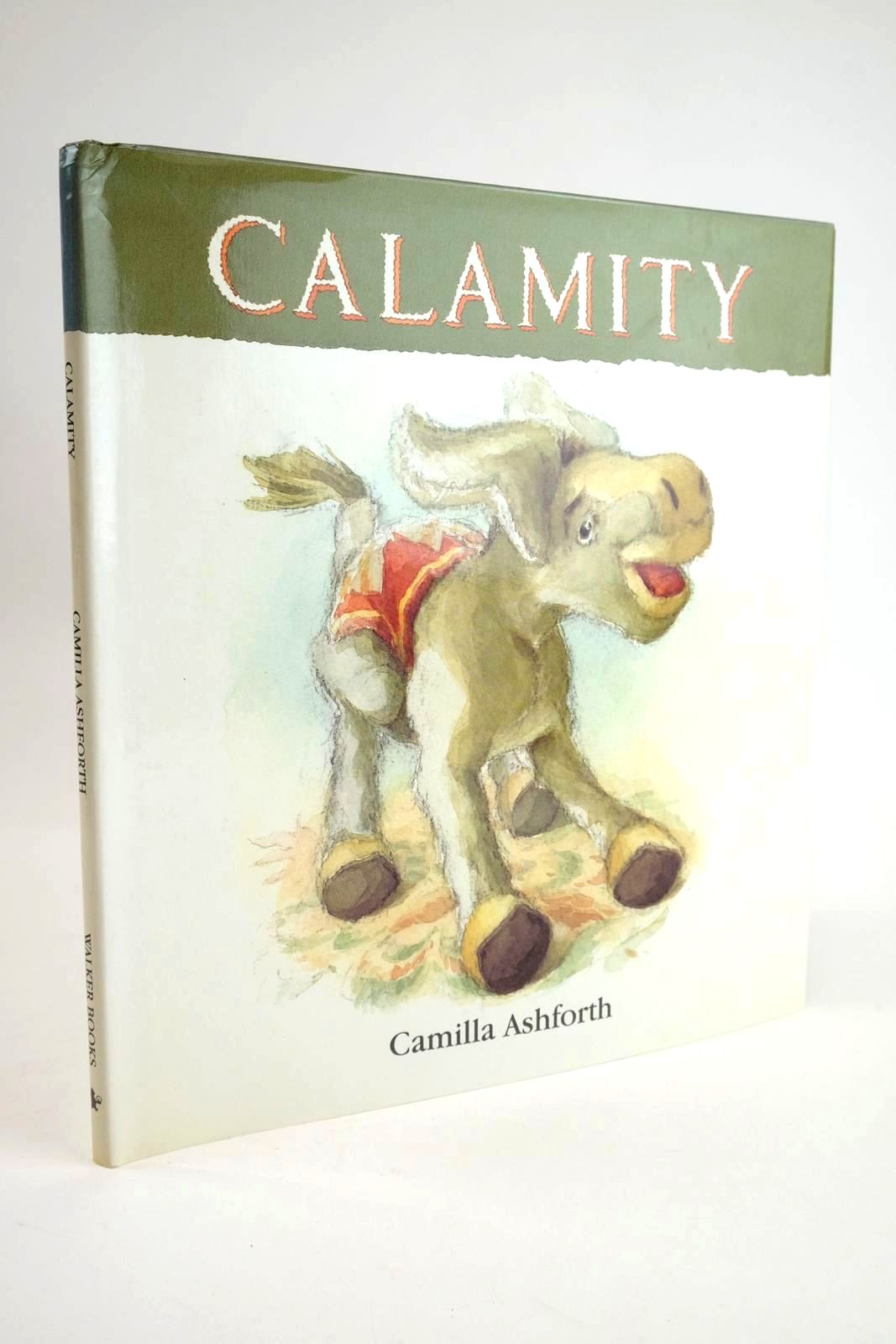 Photo of CALAMITY written by Ashforth, Camilla illustrated by Ashforth, Camilla published by Walker Books (STOCK CODE: 1328656)  for sale by Stella & Rose's Books