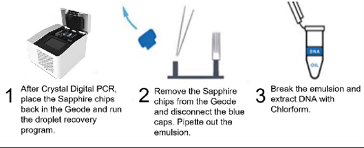 Robust Amplicon recovery post-Crystal Digital PCR™ for downstream ...