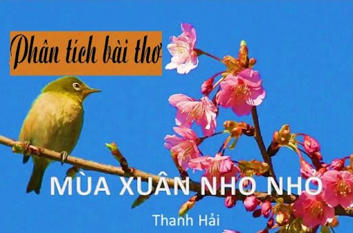 phân tích mùa xuân nho nhỏ