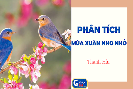 phân tích mùa xuân nho nhỏ