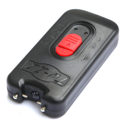 Ak-11 Mini Stun Gun/ Flashlight with Electric Shock/ Shocking Flashlight