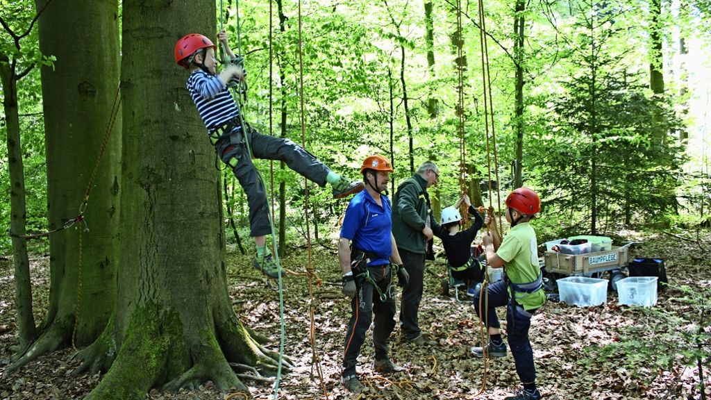 Baumklettern in Degerloch: Von hoch oben sieht die Welt ganz anders aus