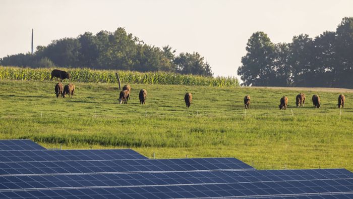 Bezirksbeiräte Plieningen und Degerloch: Freiflächen-Photovoltaik ist nicht gern gesehen