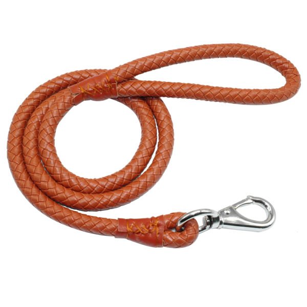 Round Braided Leather Dog Leash