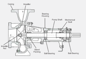 Thermic Fluid Hot Oil Pump Manufacturer & Supplier in India