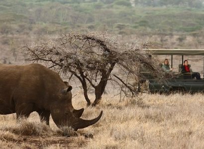 Laikipia, Wildlife spotten in Kenia