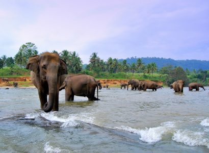 Sri Lanka