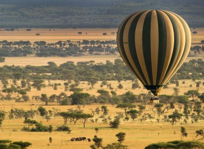 Luchtballonsafari Serengeti, Activiteiten Tanzania, Grote trekNoord Tanzania