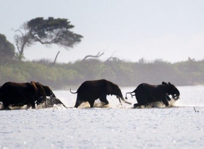 Loanga National Park, Gabon