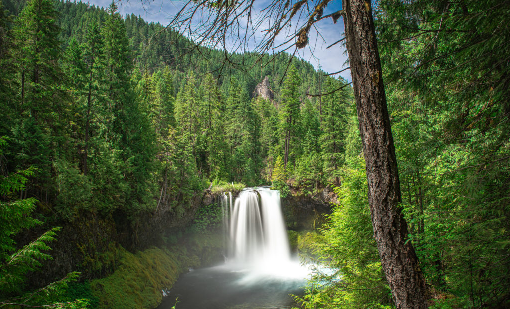 Koosah Falls, Oregon