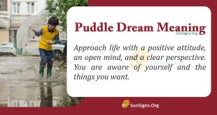 Puddle Dream Meaning