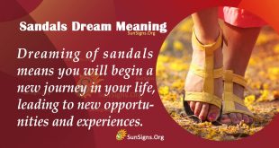 Sandals Dream Meaning