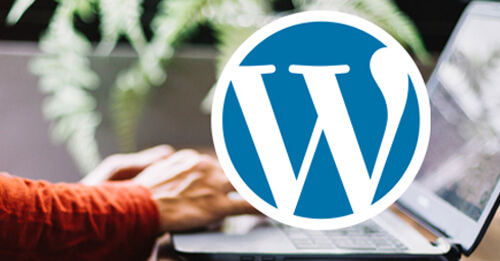 CMS Website From Scratch Using WordPress