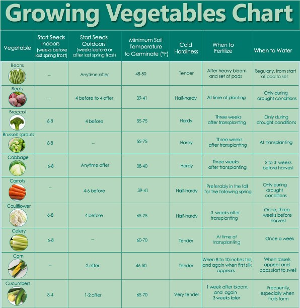 Guidelines For Growing Vegetables Chart | Survival Spot