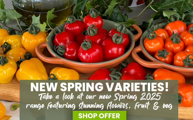 Spring - New Range2