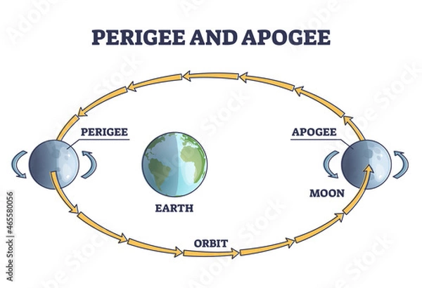 Fototapeta Perigee and apogee moon cycle and orbit around earth outline diagram. Labeled educational astronomy process with elliptical planet movement in space vector illustration. Lunar rotation in cosmos.