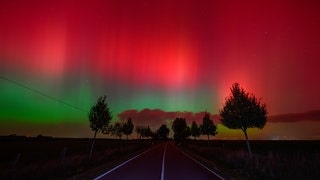 Polarlichter leuchten am Nachthimmel über einer Straße im östlichen Brandenburg.